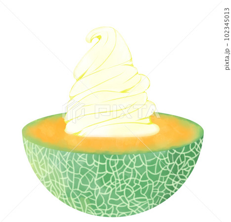 赤肉メロンを半分にしたアイスクリーム素材 赤肉メロンを半分にしたアイスクリーム素材 102345013