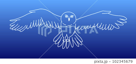 White owl in outline cartoon doodle style. Hand drawn illustration. 102345679