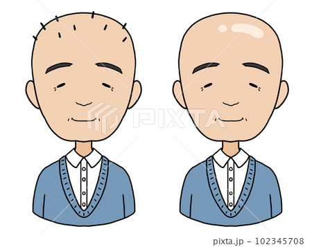 はげた中年男性のイラスト（ごましおはげとつるっぱげ） 102345708