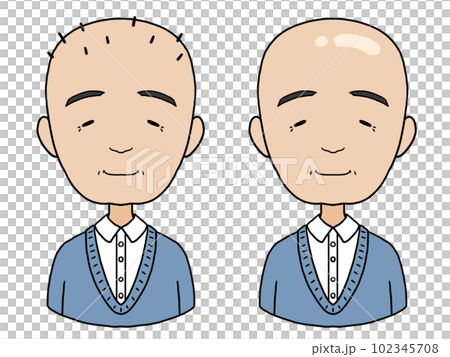 はげた中年男性のイラスト（ごましおはげとつるっぱげ） 102345708
