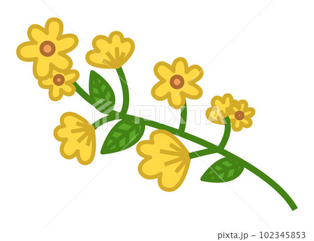 Yellow flower. Green branch with small flowers and leaves. Flowering ornamental garden or wild plant Yellow flower. Green branch with small flowers and leaves. Flowering ornamental garden or wild plant 102345853