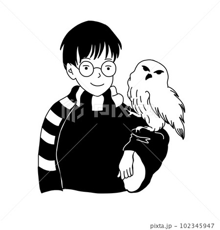 Boy in glasses with white owl from the books. Boy in glasses with white owl from the books. 102345947