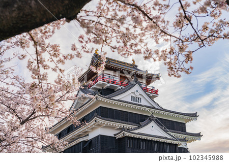 春の清洲城、満開の桜〈愛知県清須市〉 102345988