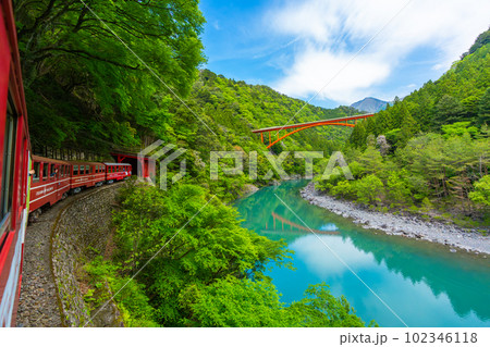 渓谷をゆっくりと走る日本で唯一のアプト式列車 井川線 絶景 車窓 渓谷をゆっくりと走る日本で唯一のアプト式列車 井川線 絶景 車窓 102346118
