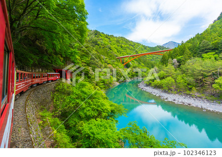 渓谷をゆっくりと走る日本で唯一のアプト式列車　井川線　絶景　車窓　 102346123