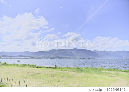 第一なぎさ公園のひまわり畑 102346141