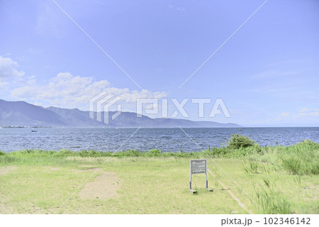 第一なぎさ公園のひまわり畑 102346142