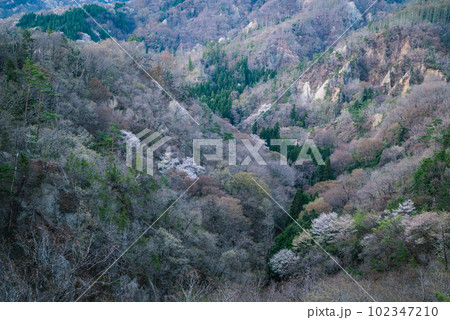 谷間に差し込む夜明けの光【春の安曇野】 102347210