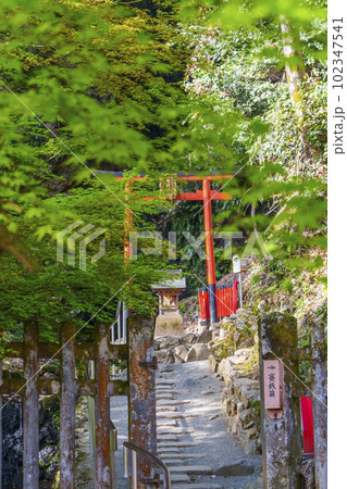 松尾大社 霊亀の滝 滝御前社(京都市西京区嵐山宮町) 松尾大社 霊亀の滝 滝御前社(京都市西京区嵐山宮町) 102347541