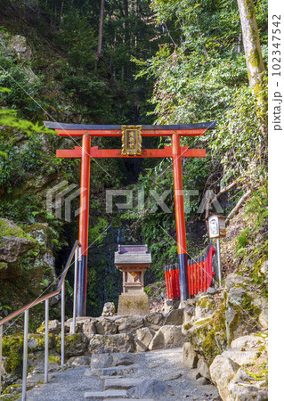 松尾大社　霊亀の滝　滝御前社（京都市西京区嵐山宮町） 102347542