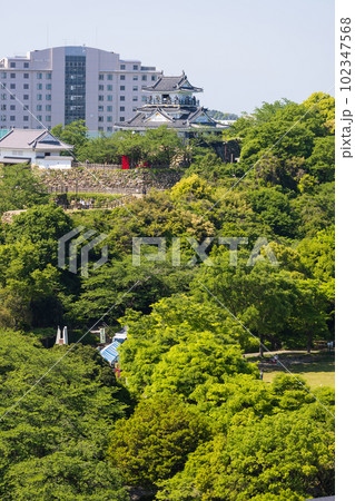 浜松城と浜松城公園 浜松城と浜松城公園 102347568