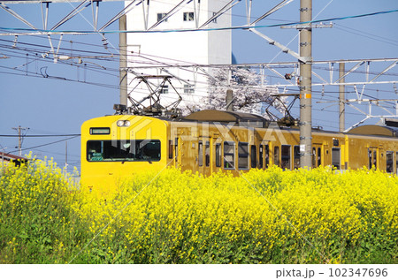 駅を発車した黄色い電車の車体が線路脇に咲いた背の高い菜の花で半分隠れている構図 駅を発車した黄色い電車の車体が線路脇に咲いた背の高い菜の花で半分隠れている構図 102347696
