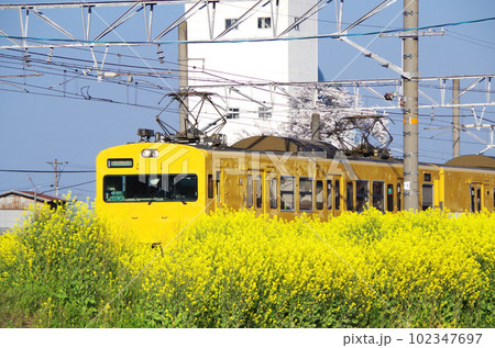 駅を発車した黄色い電車の車体が線路脇に咲いた背の高い菜の花で半分隠れている構図 102347697