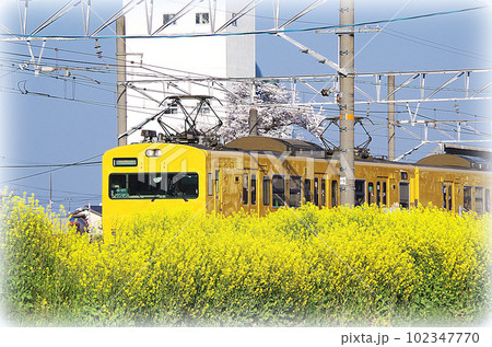 駅を発車した黄色い電車の車体が線路脇に咲いた背の高い菜の花で半分隠れている構図(イラスト風) 駅を発車した黄色い電車の車体が線路脇に咲いた背の高い菜の花で半分隠れている構図(イラスト風) 102347770