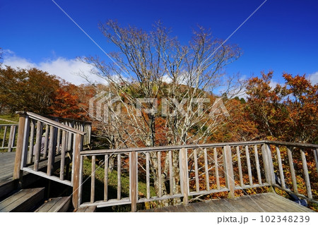 紅葉・大台ケ原の秋（奈良県吉野郡上北山村） 102348239