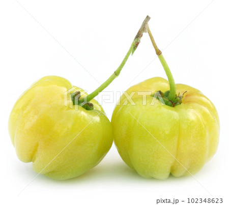 Fresh green cherry fruits Fresh green cherry fruits 102348623