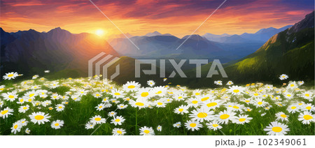 Vector illustration white chamomile flowers and grass on hills, against Vector illustration white chamomile flowers and grass on hills, against 102349061