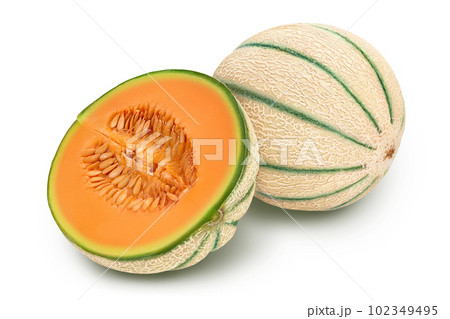 Cantaloupe melon isolated on white background with full depth of field, Cantaloupe melon isolated on white background with full depth of field, 102349495