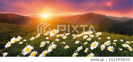 Spring landscape poppy field on background mountains with. Sunset sky, wildlife 102349820