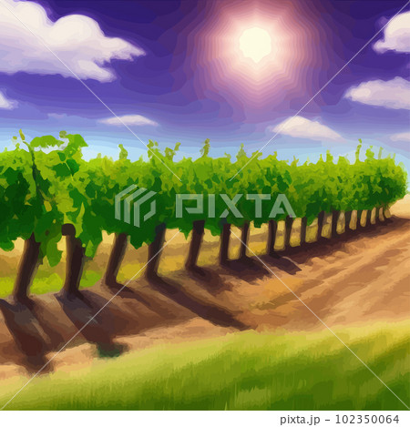 Beautiful rural scene with vineyard on hills with trees and bushes against 102350064