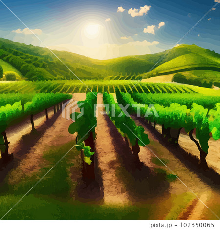 Beautiful rural scene with vineyard on hills with trees and bushes against 102350065