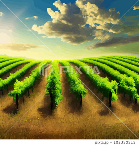 Beautiful grape plantation hills, trees, clouds against backdrop of mountains Beautiful grape plantation hills, trees, clouds against backdrop of mountains 102350515