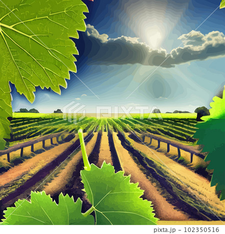 Beautiful grape plantation hills, trees, clouds against backdrop of mountains 102350516