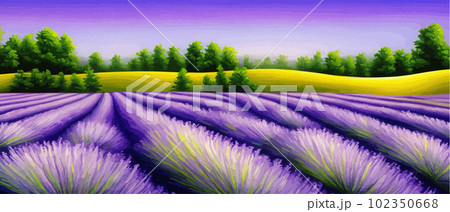 Horizon view lavender valley. Sunny day summer weather. Sunset Meadow Outdoor 102350668