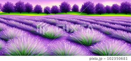 Horizon view lavender valley. Sunny day summer weather. Sunset Meadow Outdoor 102350681