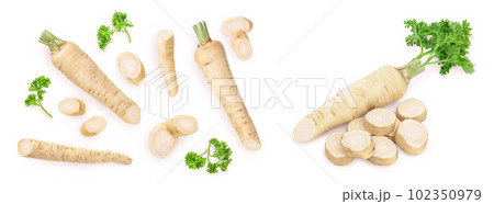 Parsley root with slices and leaves isolated on white background. Top view. Flat lay Parsley root with slices and leaves isolated on white background. Top view. Flat lay 102350979