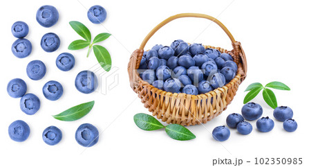 fresh ripe blueberry with leaf isolated on white background with copy space for your text. Top view. Flat lay pattern 102350985