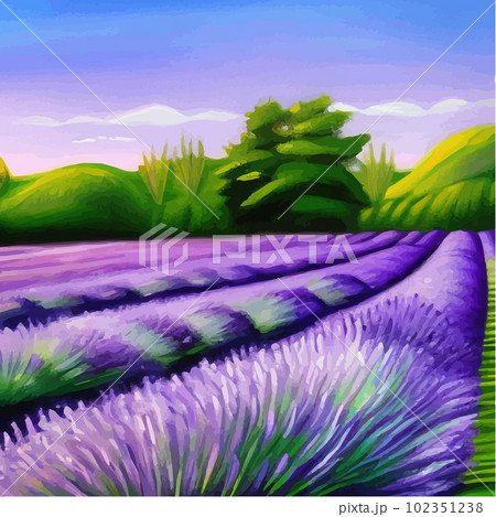Purple lavender bloom. Purple fragrant lavender flowers. Illustration Purple lavender bloom. Purple fragrant lavender flowers. Illustration 102351238