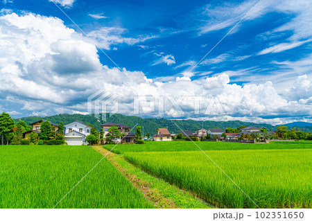 【夏素材】夏空イメージ【長野県】 【夏素材】夏空イメージ【長野県】 102351650