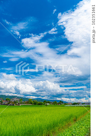 【夏素材】夏空イメージ【長野県】 【夏素材】夏空イメージ【長野県】 102351661