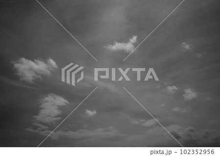 空 102352956