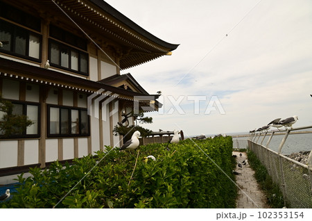 日本最強の金運スポット蕪島神社 日本最強の金運スポット蕪島神社 102353154