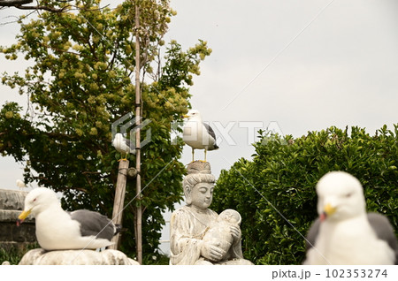 日本最強の金運スポット蕪島神社 日本最強の金運スポット蕪島神社 102353274