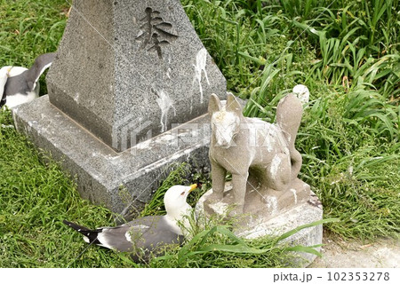 日本最強の金運スポット蕪島神社 日本最強の金運スポット蕪島神社 102353278