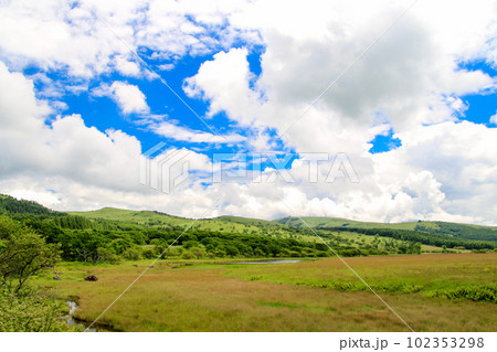 八島ヶ原湿原 八島ヶ原湿原 102353298