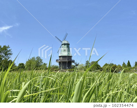 緑の中の風車 102354474