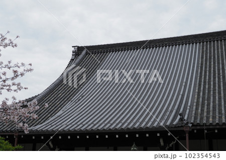 お寺の屋根 102354543