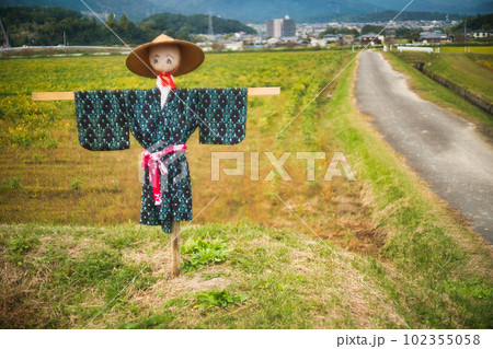 稲刈りの終わった田圃に残された案山子 稲刈りの終わった田圃に残された案山子 102355058