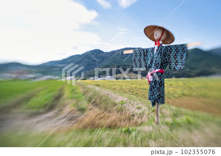 稲刈りの終わった田圃に残された案山子 稲刈りの終わった田圃に残された案山子 102355076
