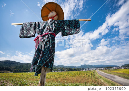 稲刈りの終わった田圃に残された案山子 稲刈りの終わった田圃に残された案山子 102355090