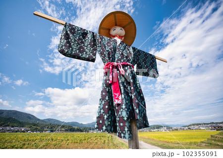 稲刈りの終わった田圃に残された案山子 稲刈りの終わった田圃に残された案山子 102355091