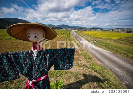 稲刈りの終わった田圃に残された案山子 稲刈りの終わった田圃に残された案山子 102355098