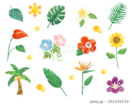 向日葵やハイビスカスなどの夏の花や植物・葉のイラストセット 102356150