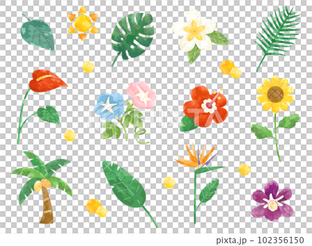 向日葵やハイビスカスなどの夏の花や植物・葉のイラストセット 102356150