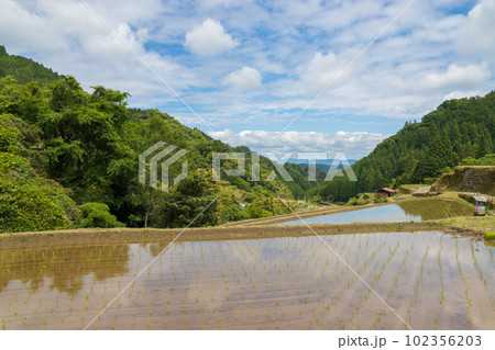 棚田の水田(福岡県うきは市 つづら棚田)【5月】 棚田の水田(福岡県うきは市 つづら棚田)【5月】 102356203