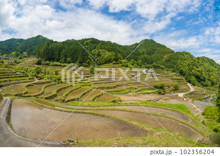 棚田の水田(福岡県うきは市 つづら棚田)【5月】 棚田の水田(福岡県うきは市 つづら棚田)【5月】 102356204